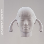 Spiritualized - The Twelve Steps