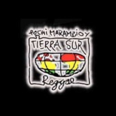 Tierra Sur (En Vivo) artwork