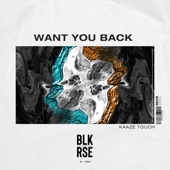 Want You Back (feat. Kaaze) [Extended Kaaze Touch] artwork