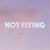 Not Flying - Single