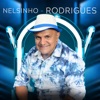 Nelsinho Rodrigues, 2020