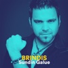 Brindis - Single