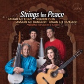 Strings for Peace - Premieres for Guitar and Sarod artwork