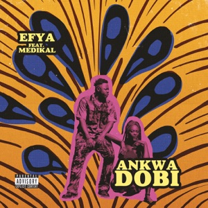 Ankwadobi (feat. Medikal) - Single