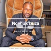Ncel'ukbuza - Single