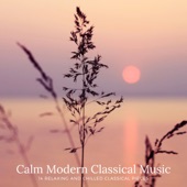 Calm Modern Classical Music: 14 Relaxing and Chilled Classical Pieces artwork