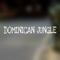 Dominican Jungle - Eric Luna lyrics