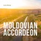 Moldovian Accordeon artwork