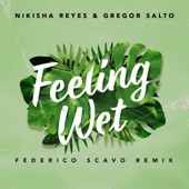 Feeling Wet (Federico Scavo Remix) artwork