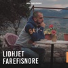 Lidhjet Farefisnore - Single