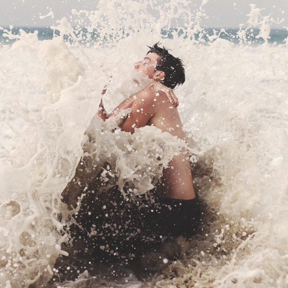 Cover artwork for Desires