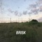 Brisk (feat. Nathan Thompson) - Jako lyrics