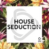 House Seduction, Vol. 18