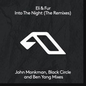 Into the Night (The Remixes) artwork