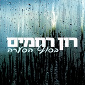 בסוף הסערה artwork