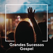 Grandes Sucessos Gospel artwork