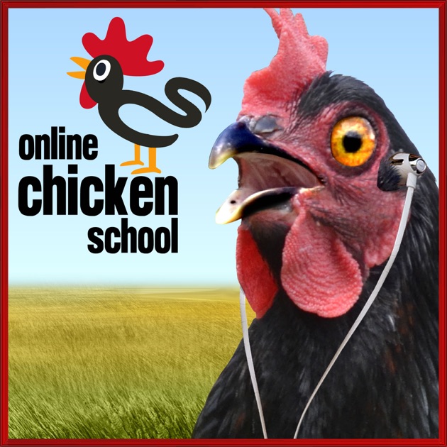 Online Chicken School Podcast by Don & Suzy Backyard & Urban Chicken