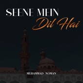 Seene Mein Dil Hai artwork