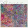 Salon Des Amateurs Remixes album lyrics, reviews, download