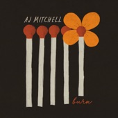 AJ Mitchell - Burn