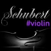 Schubert #violin artwork