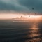 The Remote Nomad - Howard Harper-Barnes lyrics