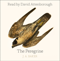 J. A. Baker - The Peregrine artwork