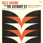 Ride out the Storm - Dele Sosimi & The Estuary 21