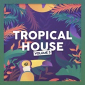 Tropical House (vol. 3) artwork