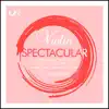 Stream & download Violin Spectacular