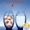You Can Change - Single