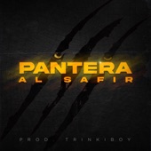 Pantera artwork