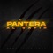 Pantera artwork