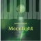 Moonlight - Brian Nader lyrics