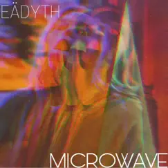 Microwave Song Lyrics