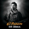 Demi Carabajal - Querencia de Mi Sentir