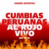 Una Aventura - En Vivo by Internacional Mallanep iTunes Track 1