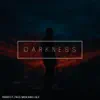 Darkness (feat. Pacewon & I.N.F) - Single album lyrics, reviews, download
