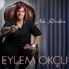Aşk Denilen - Single