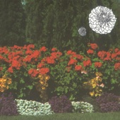 Annual Flowers in Color artwork