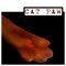 Cat Paw - Brad Majors lyrics