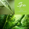 SPA – Piano & Nature Sounds: Soft Piano Jazz Atmosphere for Relaxing Massage album lyrics, reviews, download