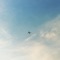 Aqua Skies (feat. Flavors) - leaf beach lyrics