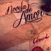 Novela De Amor artwork