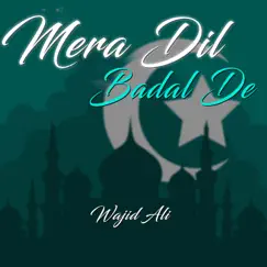 Mera Dil Badal De - Single by Wajid Ali album reviews, ratings, credits