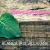 Blanca Iris Villafane & Yomo Toro Y Sus Guitarras - Ya No Quiero Quererte