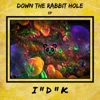 Down the Rabbit Hole - EP