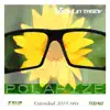 Stream & download Polarize (Extended 2019 Mix) - Single