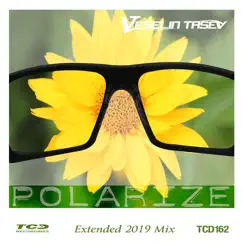 Polarize (Extended 2019 Mix) - Single by Veselin Tasev album reviews, ratings, credits