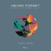 Never Forget (feat. Tom Noah) [Nicky Romero Edit] - Single